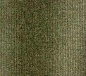 Plaatvaip Paragon Macaw Stripe | Lime / Quartz, 318101M roheline