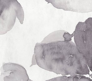 Vinüülseinakate Muraspec Florals & Botanics -LTD00496 Taimed 