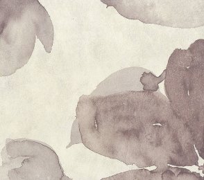 Vinüülseinakate Muraspec Florals & Botanics -LTD00494 Taimed  