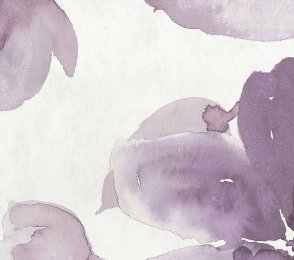 Vinüülseinakate Muraspec Florals & Botanics -LTD00493 Taimed   