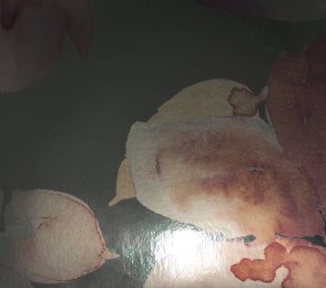 Vinüülseinakate Muraspec Florals & Botanics -LTD00483 Taimed  