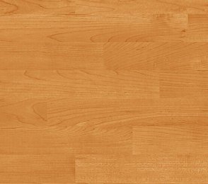 Sportpõrand Gerflor Taraflex Evolution 6379 Maple Desert pruun