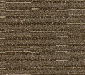 Plaatvaip Paragon Elemental Cloudburst, Starfield Shower, 102194 pruun