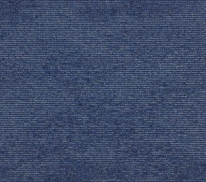 Plaatvaip Paragon Elemental Heathstar, Wildflower Blue, 612152 sinine