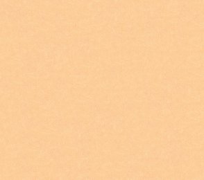 Vinüülseinakate Vescom Pleso 1026.02 oranź
