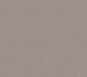 Vinüülseinakate Vescom Colour Choice 1056.034 hall