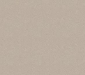 Vinüülseinakate Vescom Colour Choice 1056.059 beeź 