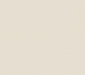 Vinüülseinakate Vescom Nero 1024.09 hall