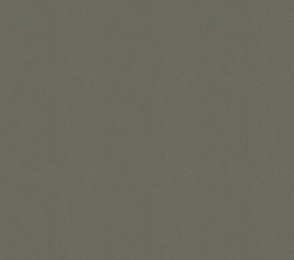 Vinüülseinakate Vescom Colour Choice 1056.136 pruun