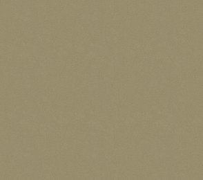 Vinüülseinakate Vescom Colour Choice 1056.137 pruun 