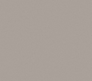 Vinüülseinakate Vescom Nero 1024.29 hall