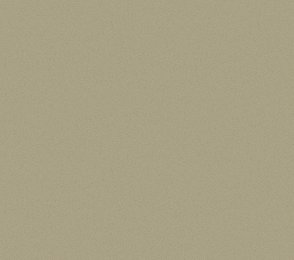 Vinüülseinakate Vescom Nero 1024.41 hall/ roheline