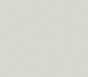 Vinüülseinakate Vescom Nero 1024.43 hall