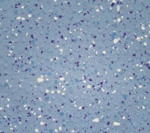 Niiske ruumi PVC Gerflor Shower System "Tarasafe Ultra H2O" 7413 Ocean Blue sinine