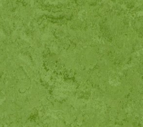 Linoleumi 0011 Avocado Green