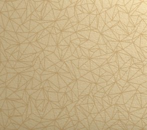 PVC äriruumi Gerflor Taralay Initial Compact 0954 SPIDER DORE pruun