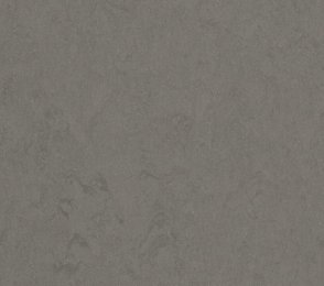 Linoleum Gerflor DLW Lino Art Urban Acoustic Plus 0553 DARK CONCRETE GREY hall