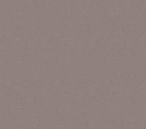 Vinüülseinakate Vescom Colour Choice 1056.033 beeź/ hall