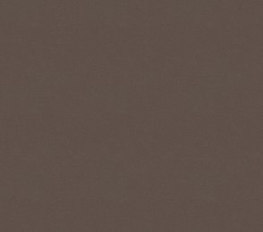 Vinüülseinakate Vescom Colour Choice 1056.040 pruun 