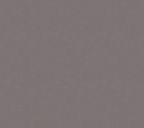 Vinüülseinakate Vescom Colour Choice 1056.041 hall