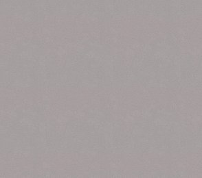 Vinüülseinakate Vescom Colour Choice 1056.042 hall 