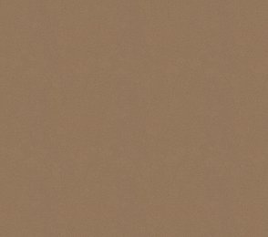 Vinüülseinakate Vescom Colour Choice 1056.052 pruun