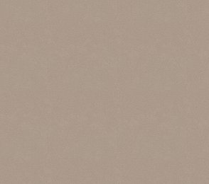 Vinüülseinakate Vescom Colour Choice 1056.053 beeź