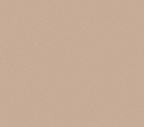 Vinüülseinakate Vescom Nero 1024.10 beeź/ pruun