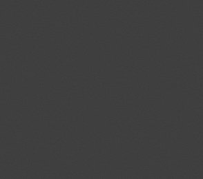 Vinüülseinakate Vescom Nero 1024.21 hall/ must