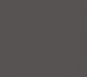 Vinüülseinakate Vescom Nero 1024.35 hall/ pruun