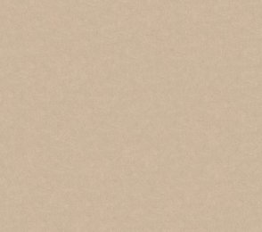 Vinüülseinakate Vescom Pleso 1026.13 beeź  