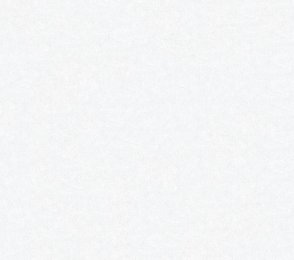 Vinüülseinakate Vescom Pleso 1026.18 hall/ valge