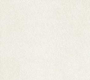 Nailonvaip AW Carpets, Sensualité Silk 04 valge