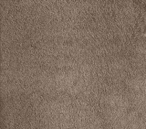 Nailonvaip AW Carpets, Sensualité Silk 49 hall/ pruun