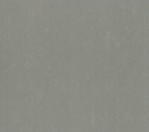 Linoleum Gerflor DLW Lino Art Urban 0568 Asphalt Grey hall 