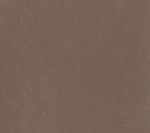 Linoleum Gerflor DLW Lino Art Urban 0571 Tree Bark Brown pruun