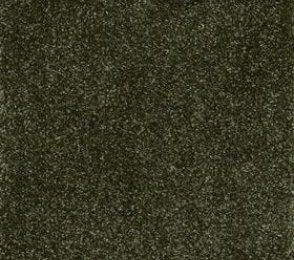 Nailonvaip AW Carpets, Sensualité Superbe 29 roheline
