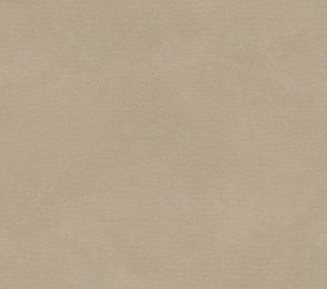 Akustiline PVC BeauFlor Roxanne 610L beeź
