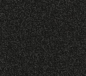 Nylonteppe AW Carpets, Maxima iMax 98 RAVEN svart