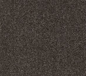 Nailonvaip AW Carpets, Highgrove Supreme 98 hall/ pruun 