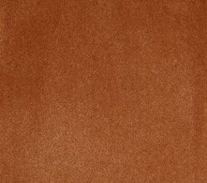 Nailonvaip AW Carpets, Tessa 84 - SIERRA pruun