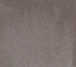 Nailonvaip AW Carpets, Tessa 95 - PLOMBEO hall 