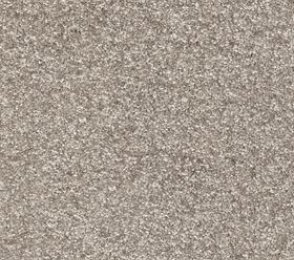 Nailonvaip AW Carpets, Gaia Yukon 49 - SAFARI hall/ pruun