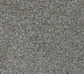 Nailonvaip AW Carpets, Gaia Yukon 95 - SHORELINE hall