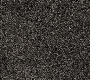 Nailonvaip AW Carpets, Gaia Yukon 99 - RAVEN hall