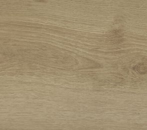 812211 Огненный дуб - Беппу