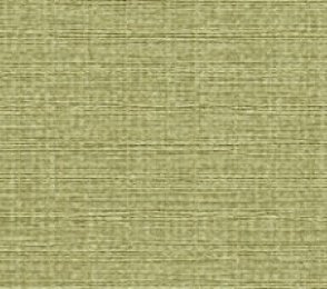 JUTE 31325