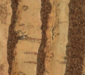 Korkkparkett Bamboo natur